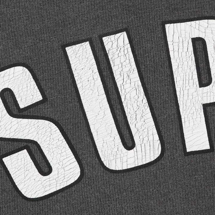 Supreme SS24 Tshirt Cracked Arc
